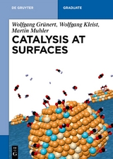 Catalysis at Surfaces - Wolfgang Gr&uuml;nert, Wolfgang Kleist, Martin Muhler