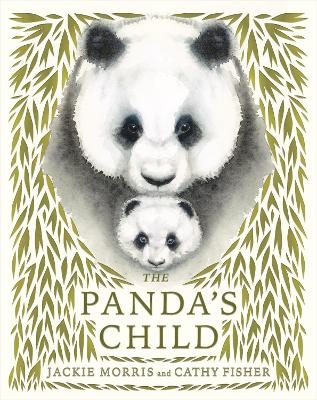 The Panda's Child - Jackie Morris