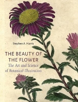 The Beauty of the Flower - Stephen A. Harris
