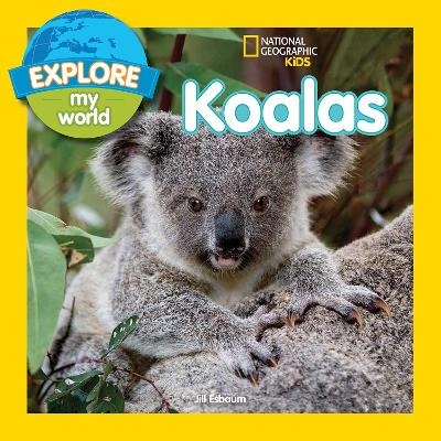 Explore My World: Koalas - Jill Esbaum