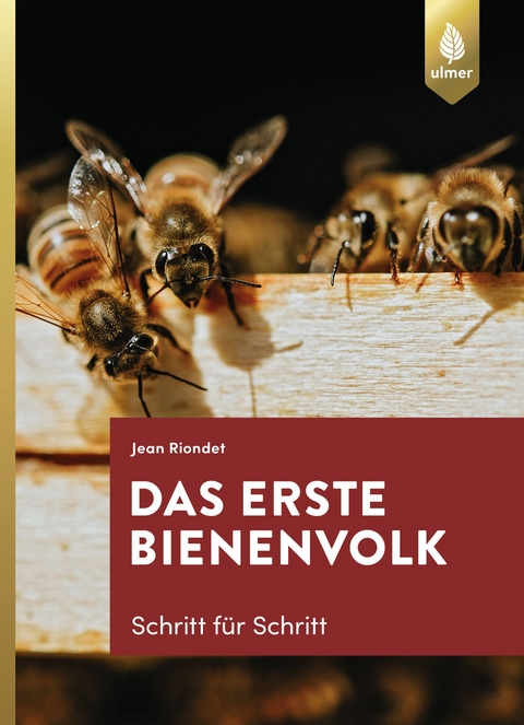 Das erste Bienenvolk - Schritt f&uuml;r Schritt - Jean Riondet