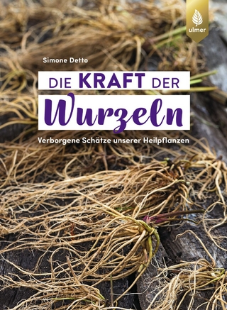 Die Kraft der Wurzeln