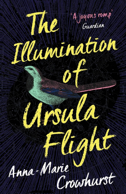 The Illumination of Ursula Flight -  Anna-Marie Crowhurst