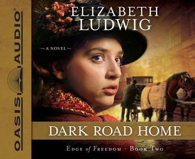 Dark Road Home - Elizabeth Ludwig