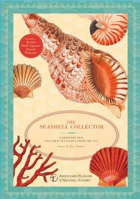 The Seashell Collector - Ilya T&euml;mkin