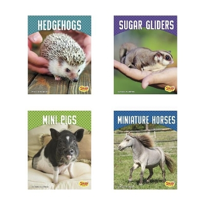 Cute and Unusual Pets - Paula M Wilson