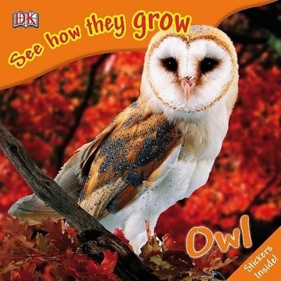 See How They Grow: Owl - Mary Ling
