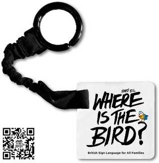 Baby BSL: Where is the Bird?