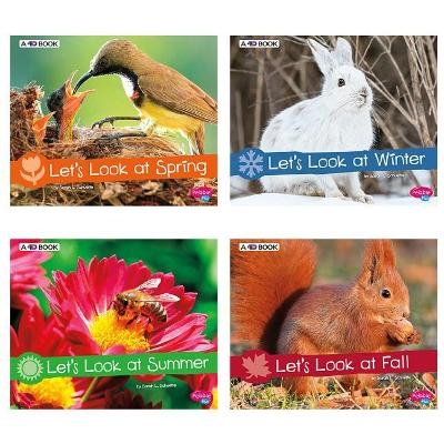 Investigate the Seasons - Sarah L Schuette