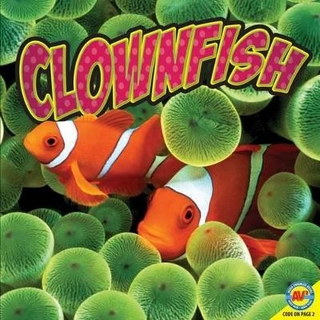 Clownfish