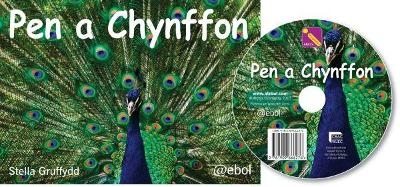 Llythrennedd Thematig - Pen a Chynffon - Pecyn Cardiau a DVD - Stella Gruffydd