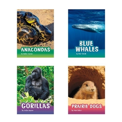 Animals - Jaclyn Jaycox, Mari C Schuh