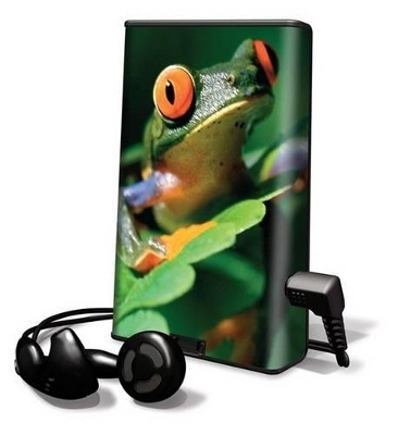 Rain Forest Rhapsody -  Twin Sisters