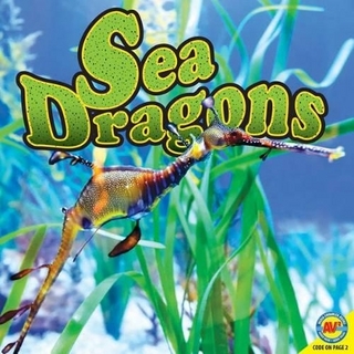 Sea Dragons