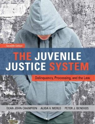 The Juvenile Justice System