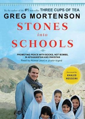 Stones Into Schools