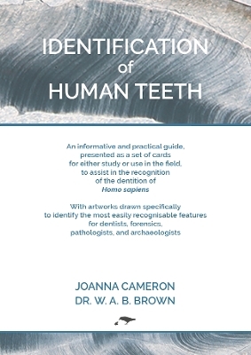 Identification of Human Teeth