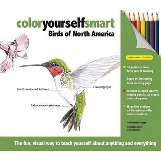 Color Yourself Smart