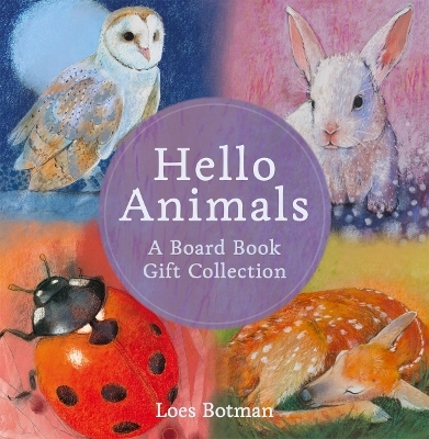 Hello Animals: A Board Book Gift Collection - Loes Botman