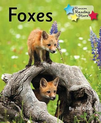 Foxes 6-Pack -  Atkins Jill
