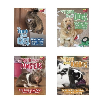 Pets Undercover! - Mary Colson