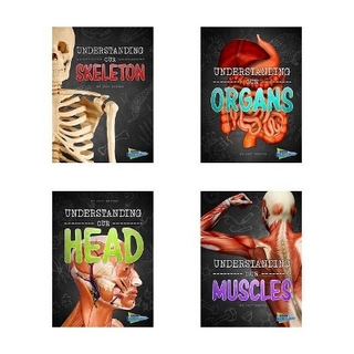 Brains, Body, Bones!