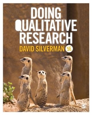 Doing Qualitative Research - David Silverman