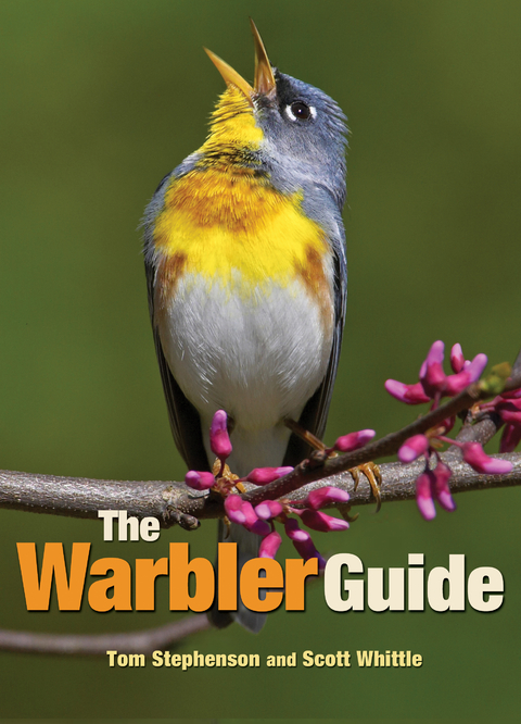 The Warbler Guide - Tom Stephenson, Scott Whittle