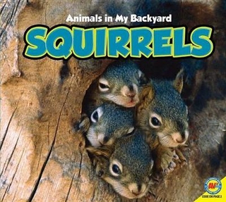 Squirrels