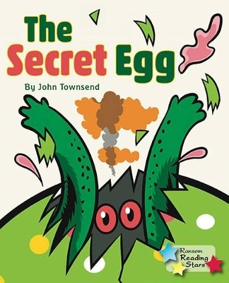 The Secret Egg 6-Pack -  Townsend John
