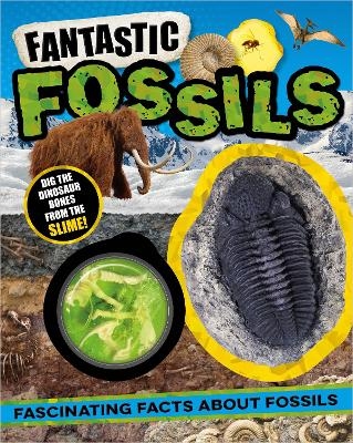 Non-Fiction Books Fantastic Fossils - Laura Baker