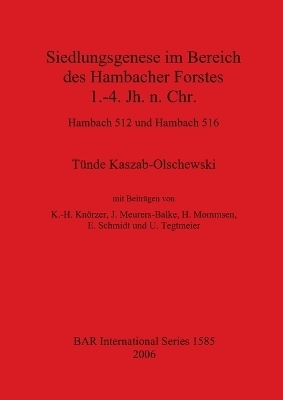 Siedlungsgenese im Bereich des Hambacher Forstes  1.-4. Jh. N. Chr. - Hambach 512 und Hambach 516