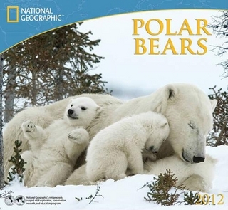 Polar Bears
