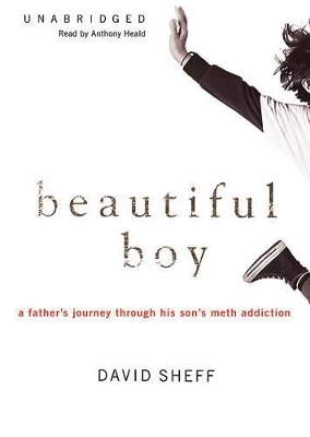 Beautiful Boy - David Sheff