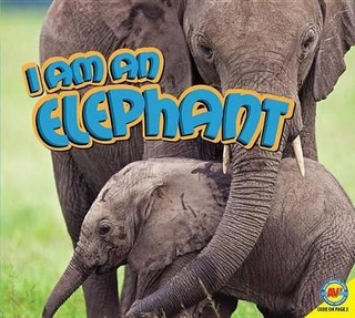 I Am an Elephant