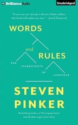 Words and Rules