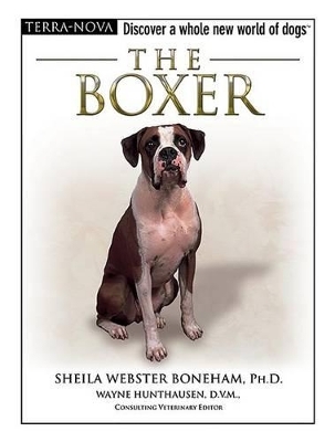 The Boxer