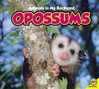 Opossums