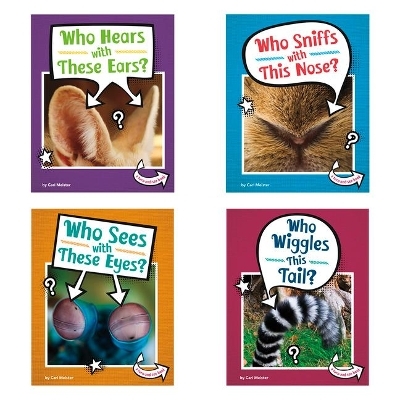 Whose Is This? - Cari Meister