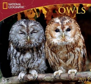 Owls