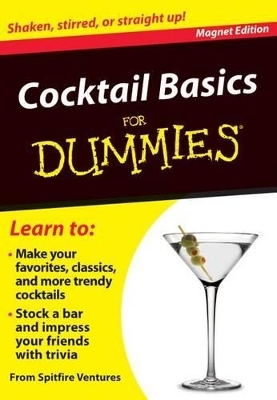 Cocktail Basics for Dummies