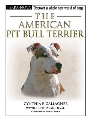 The American Pit Bull Terrier
