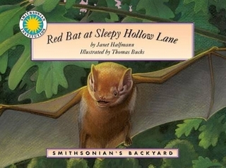 Red Bat at Sleepy Hollow