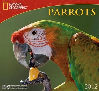 Parrots