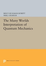 Many-Worlds Interpretation of Quantum Mechanics - 