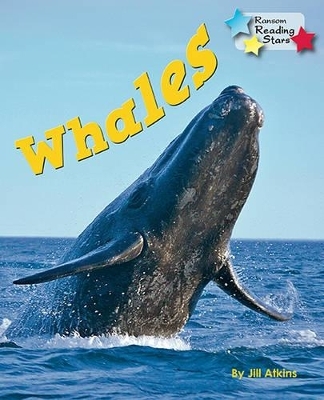 Whales 6-Pack -  Atkins Jill