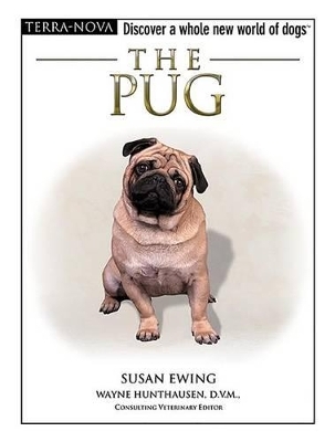 The Pug - Susan M Ewing
