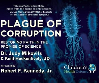 Plague of Corruption