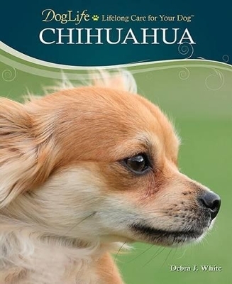 Chihuahua - Debra J White