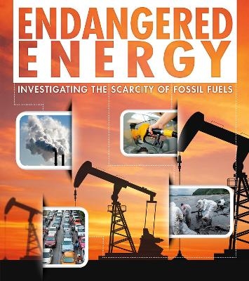 Endangered Energy Pack A of 4 - Rani Iyer, Jody Rake